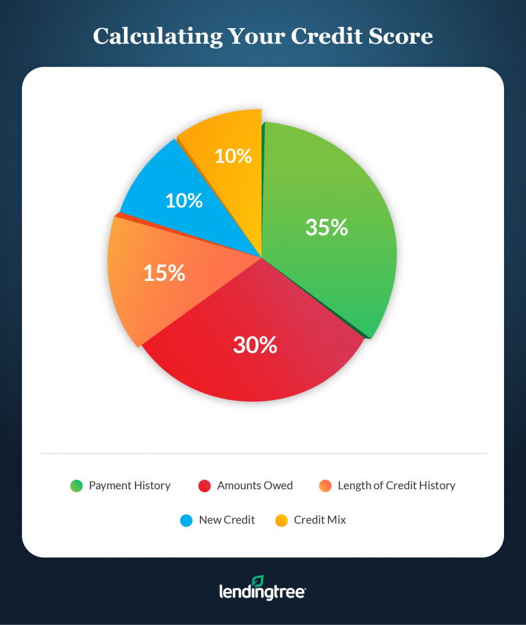 How Fast Do Updates Appear on Your Credit Report