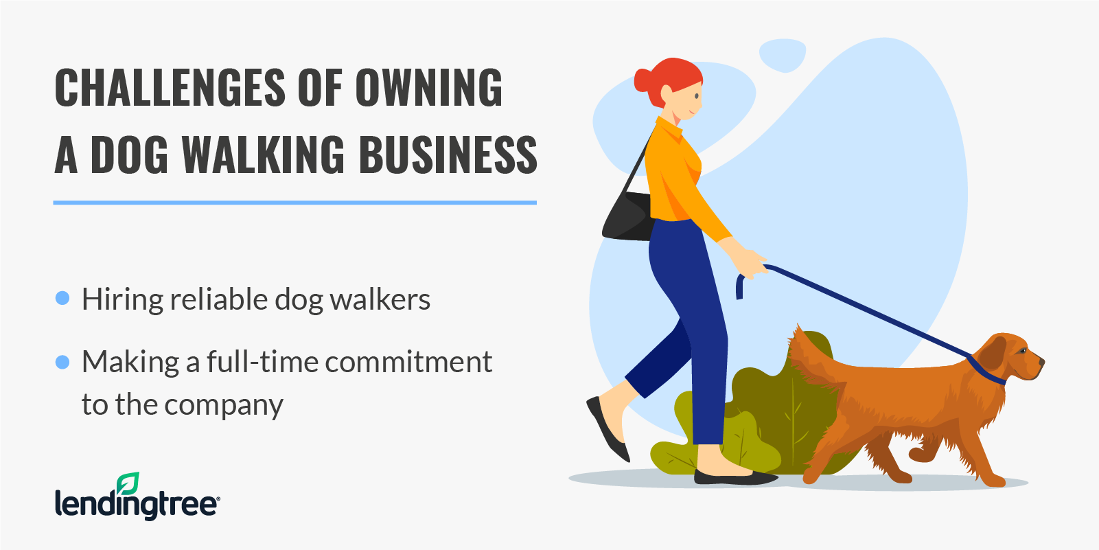 do you need a car to be a dog walker