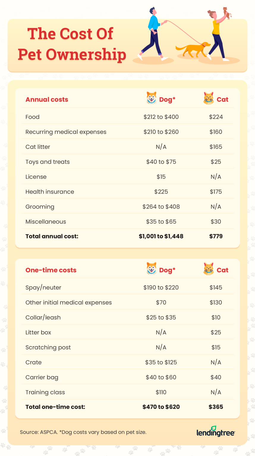 Pet Financing for Vet Bills & Pet Expenses | LendingTree