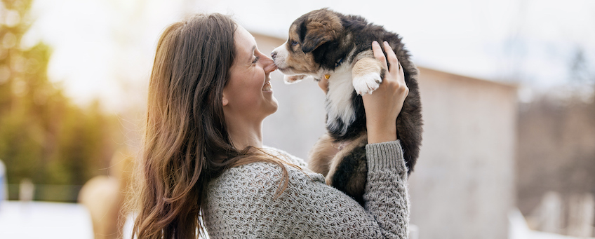 What to Know About Financing Ahead of National Dog Day | LendingTree