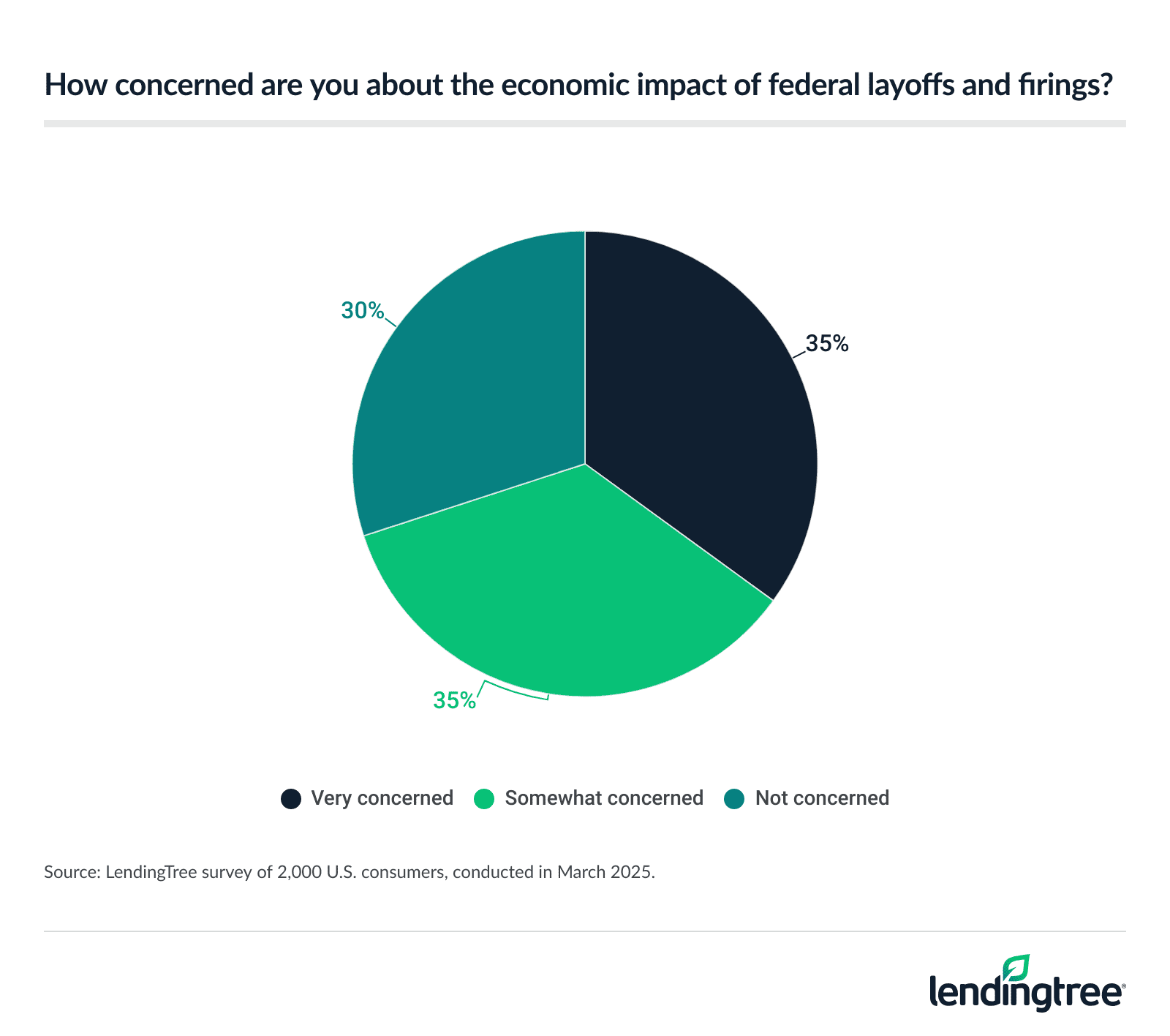 35% of Americans are very concerned about the economic impact of federal layoffs and firings.