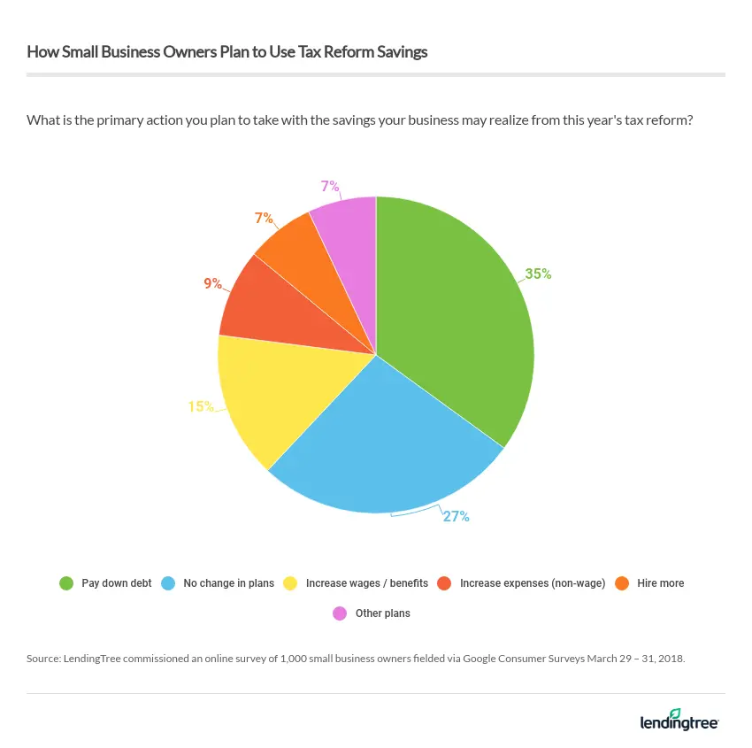 Paying down debt is the top primary action small business owners plan to use with their tax reform savings, at 35%.
