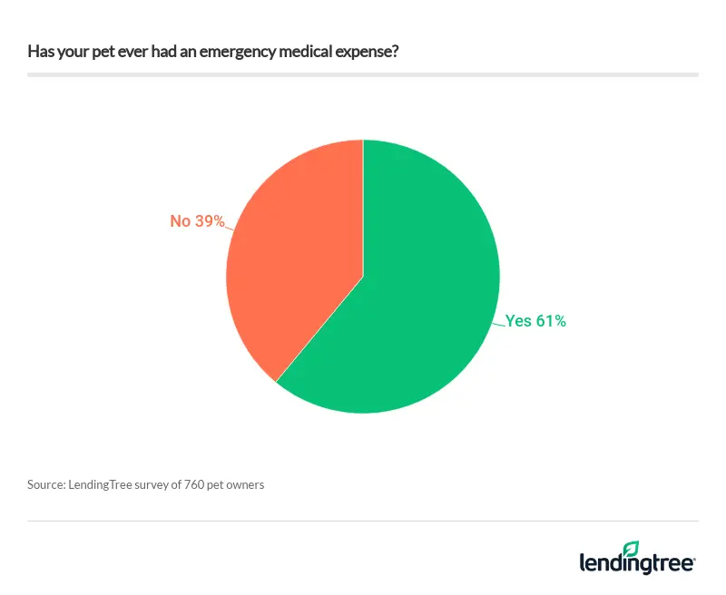 61% of pet owners have had an emergency medical expense.