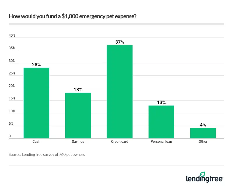 Most pet owners turn to credit cards to fund a $1,000 pet emergency.