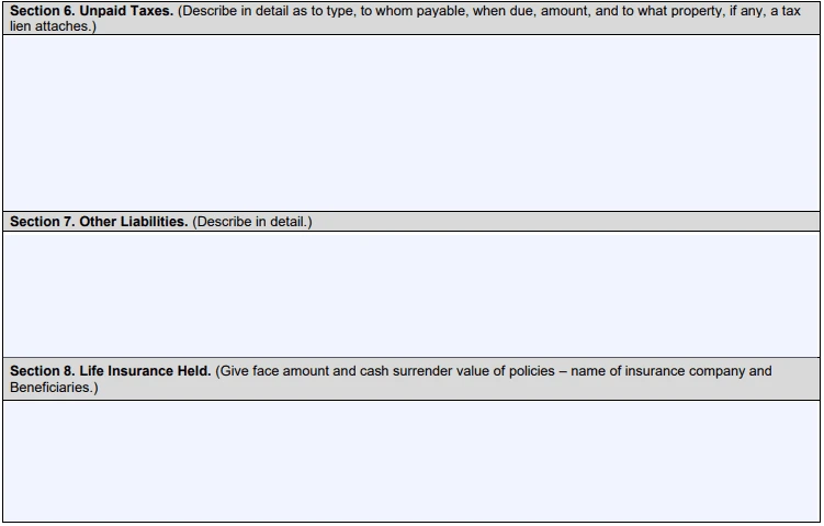 SBA Form 413 section 8